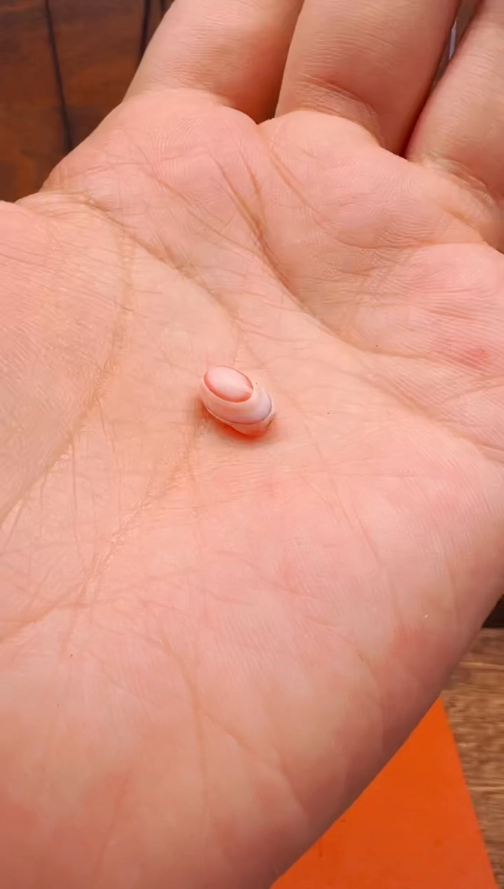 【肖钟出品】东南亚配珠