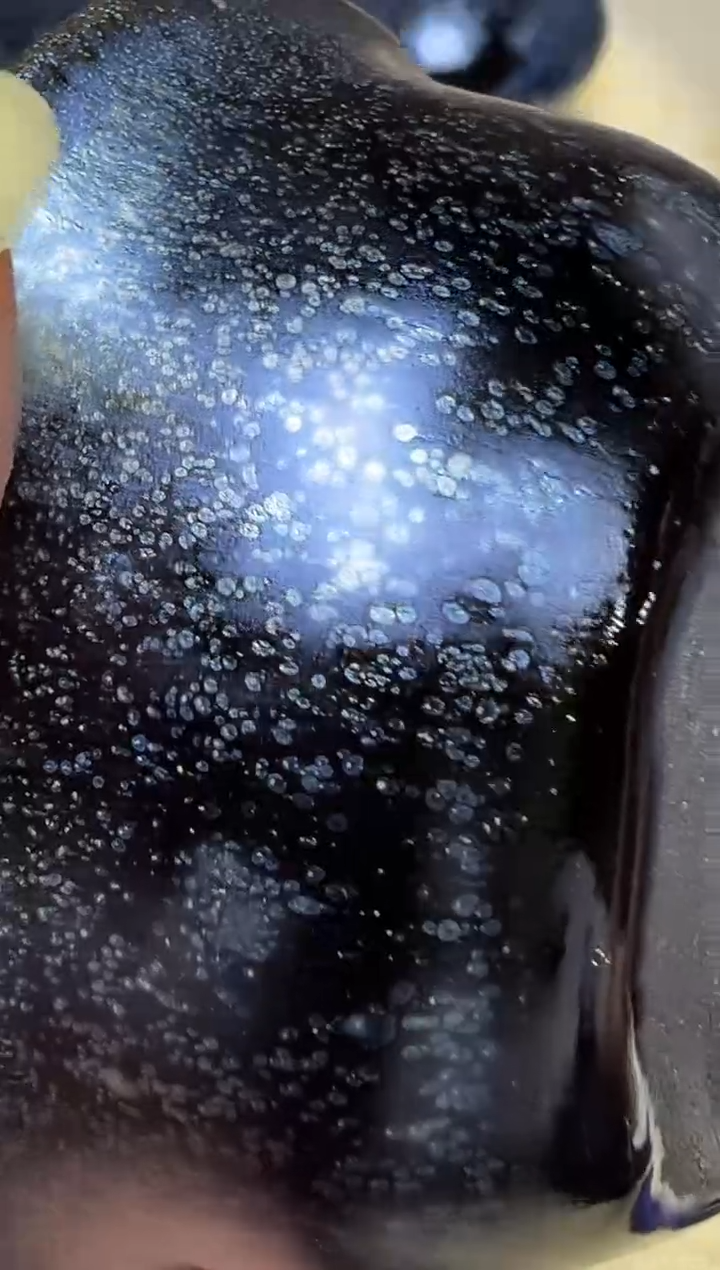 茶盏随*飘6钱定龙窑开窑现场580