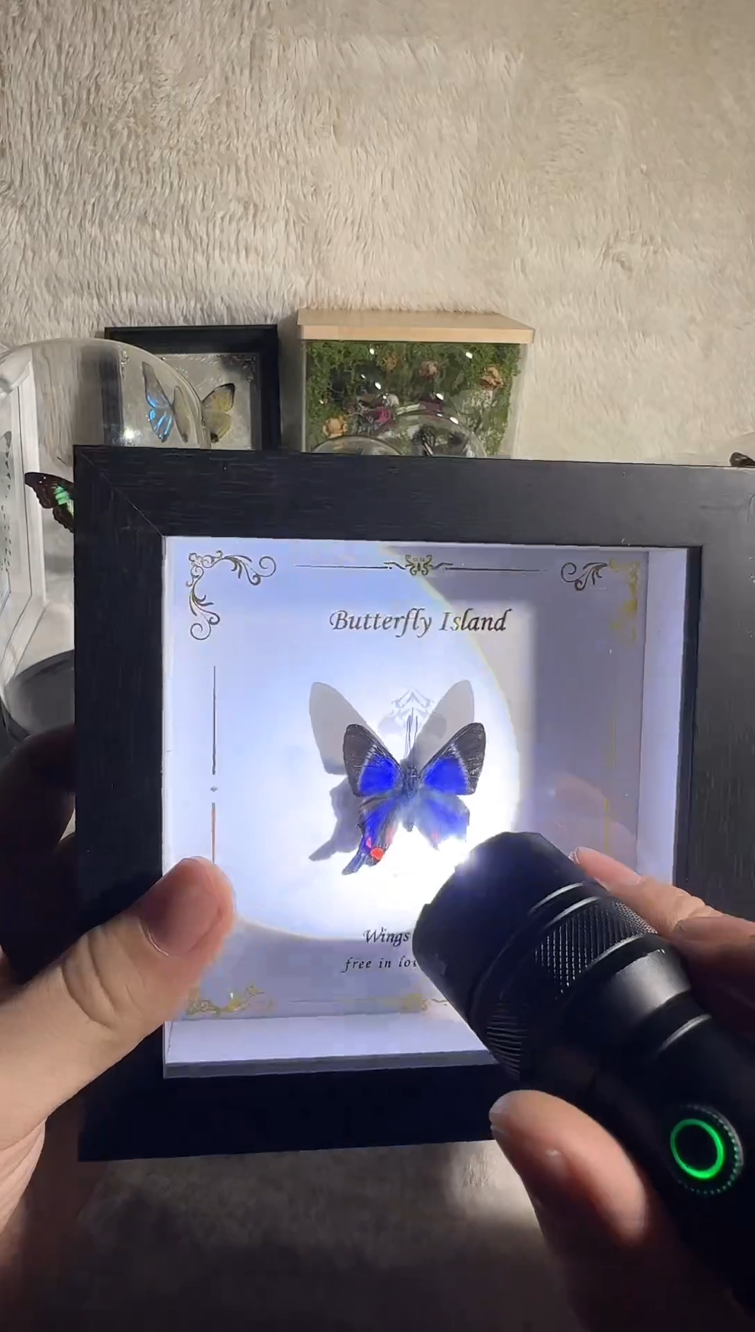 有机玻璃海洋之心