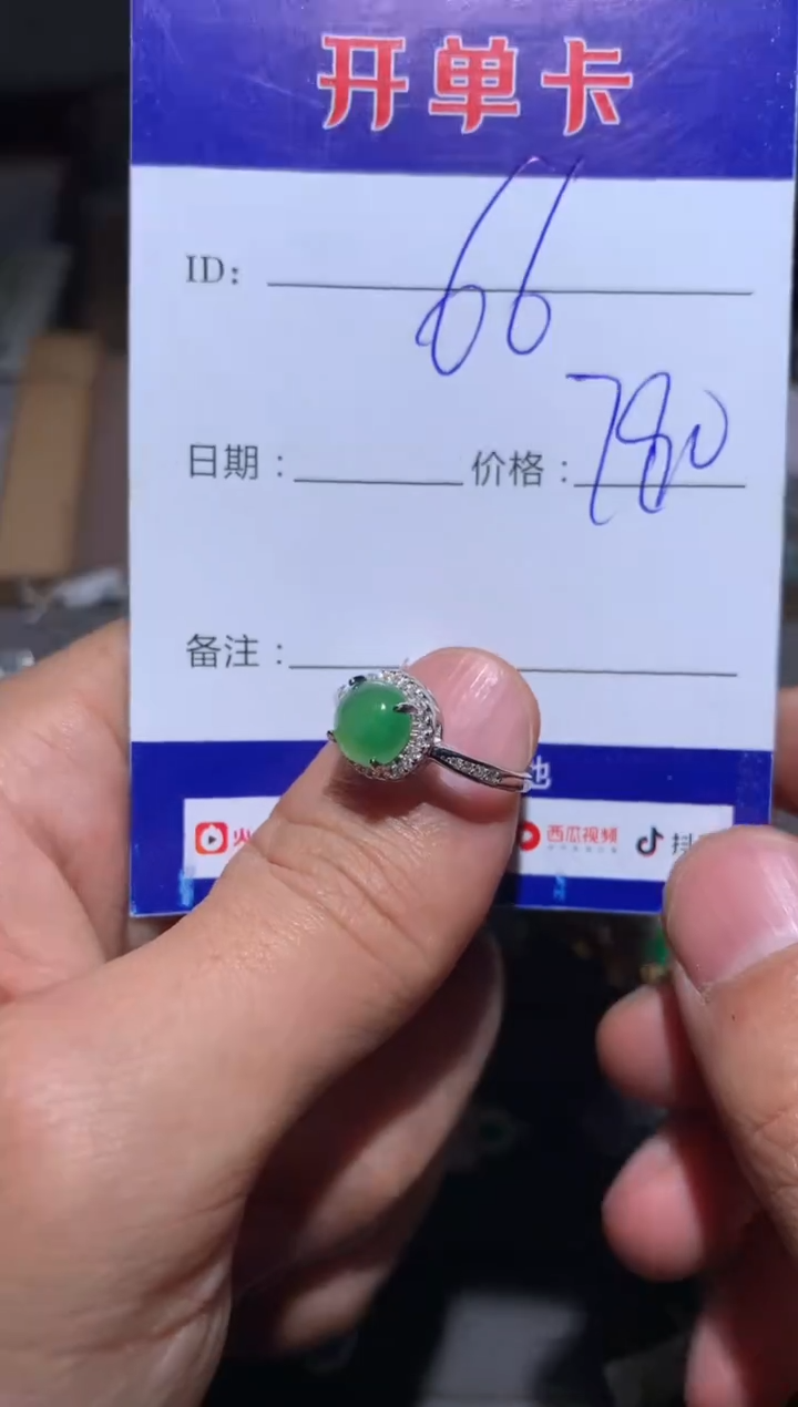 【闪购商品】翡翠颈饰银S925镶嵌 定向 66