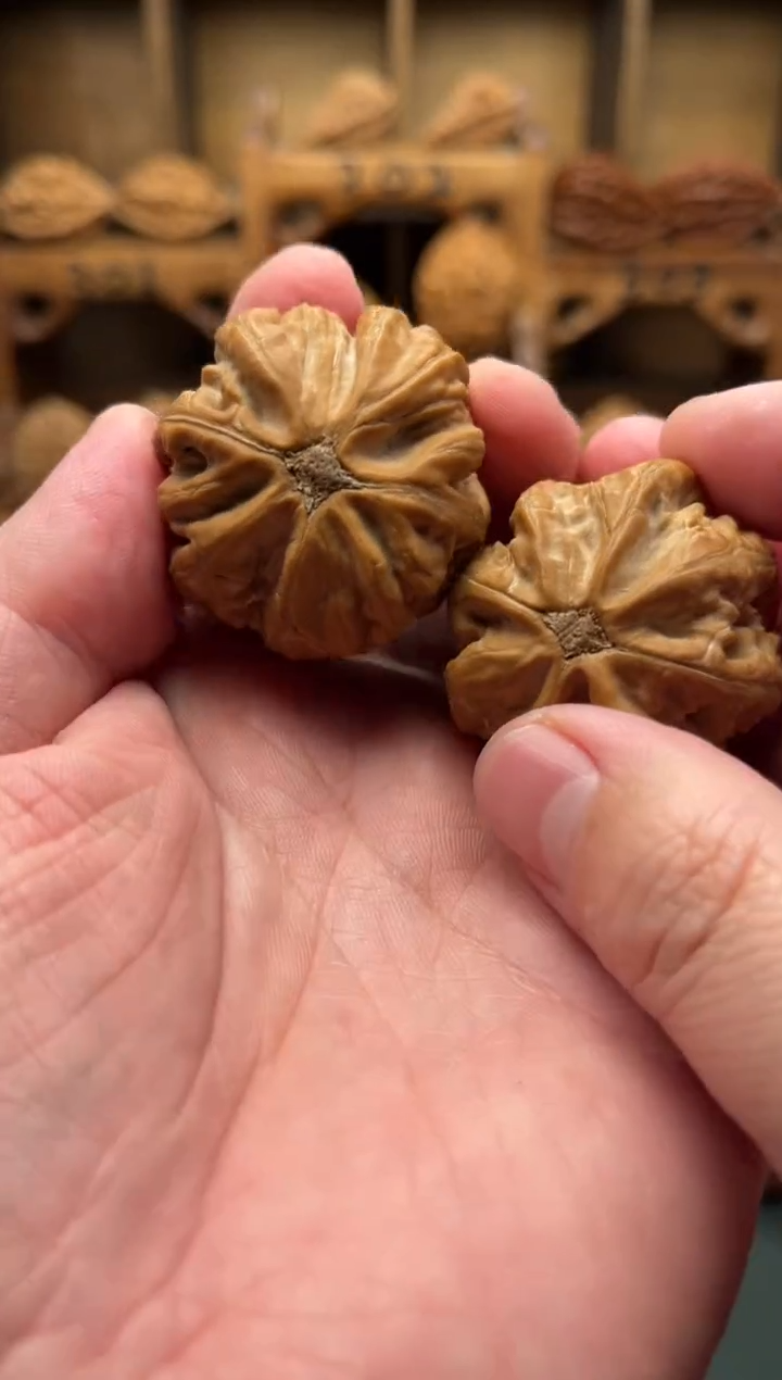 【闪购商品】文玩核桃吊坠JHHT楸子下播福利