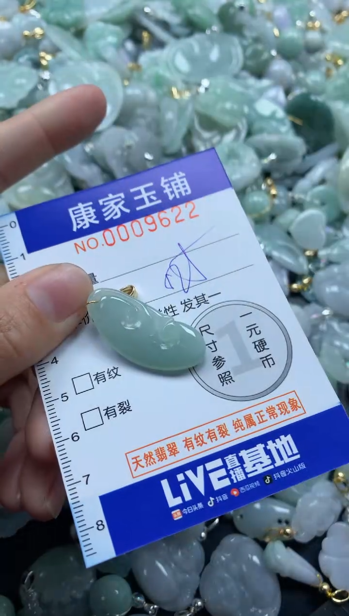 颈饰未镶嵌翡翠9622
