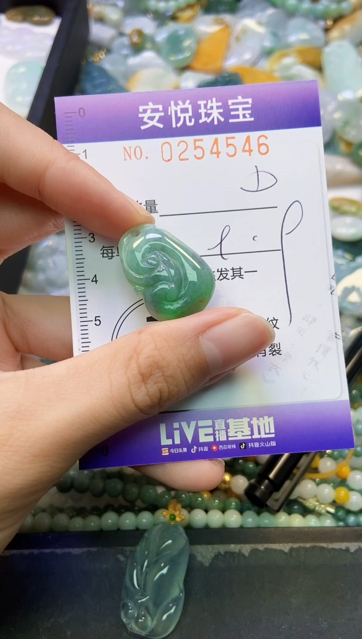 颈饰未镶嵌翡翠闪购0254546