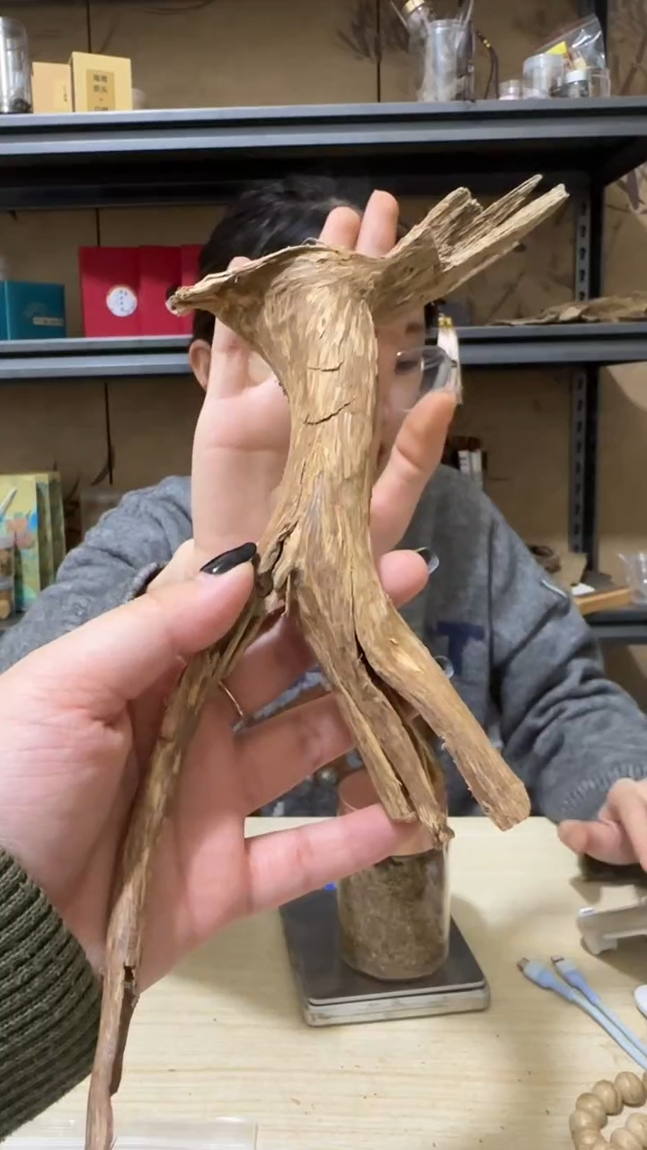 【闪购商品】沉香摆件10号海南根部野料22克+