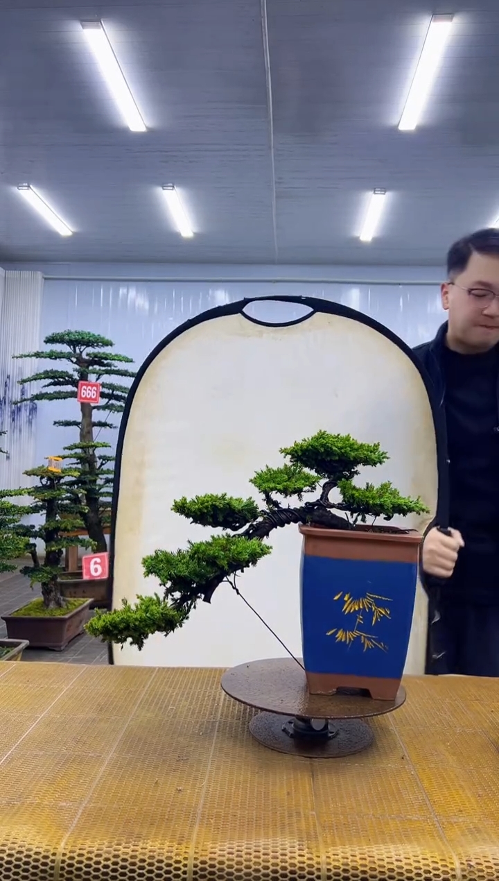 无花朵000000000000000