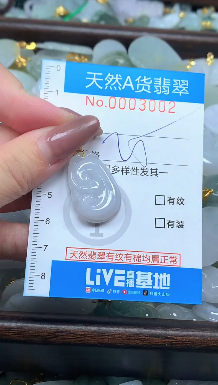颈饰未镶嵌翡翠净货挂件-3002