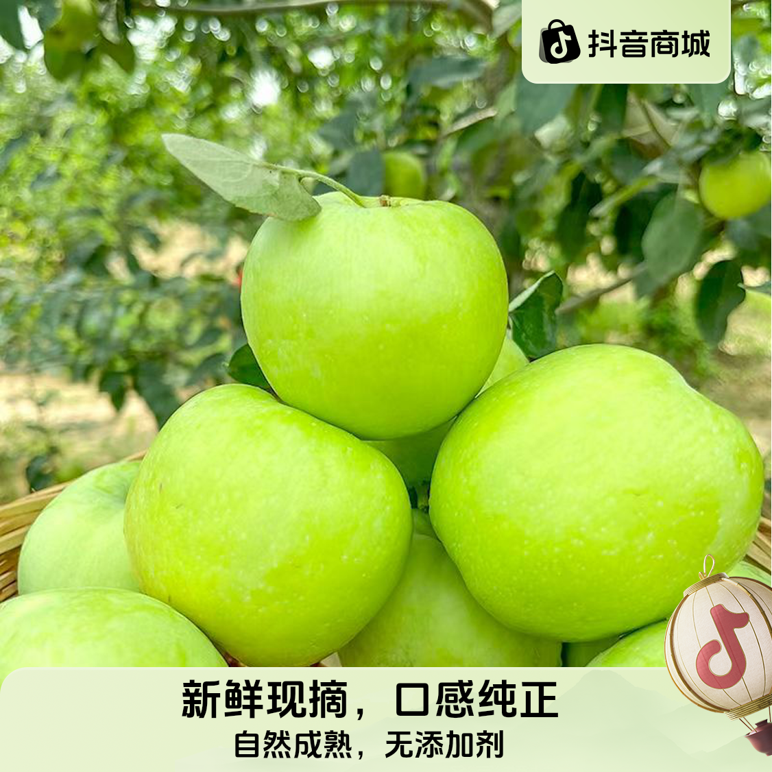 高品质果园现摘现发新鲜青苹果酸甜多汁脆爽水果