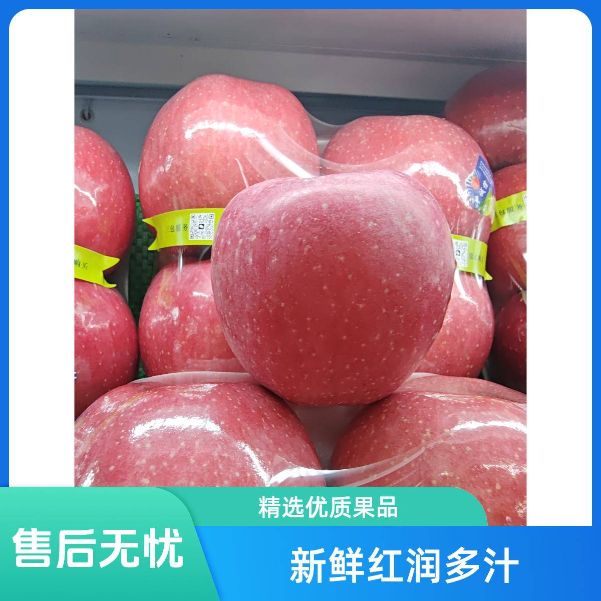 新鲜精选红富士苹果陕西省