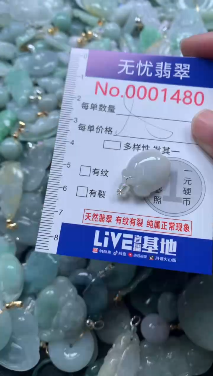 颈饰未镶嵌翡翠1480