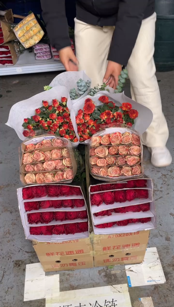 高原红20枝+卡布20枝+巧克力10枝+尤加利