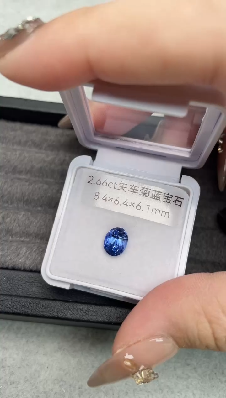 【闪购商品】蓝宝石裸石未镶嵌2.66ct矢车菊