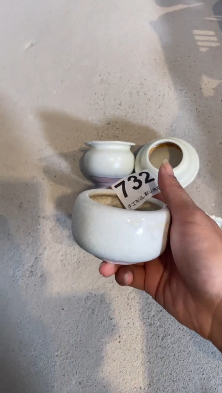 瓷片五*七732知木小芳花盆编号