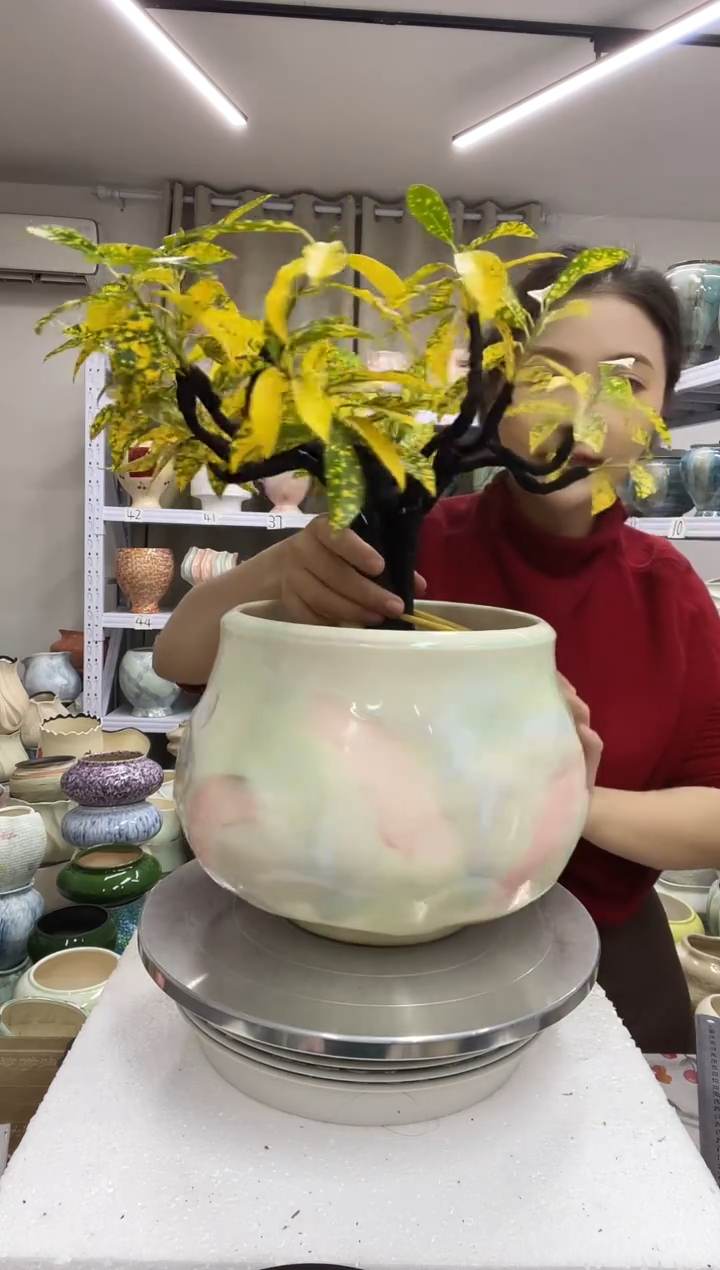 【1.3】花盆尺寸高：20 口：19