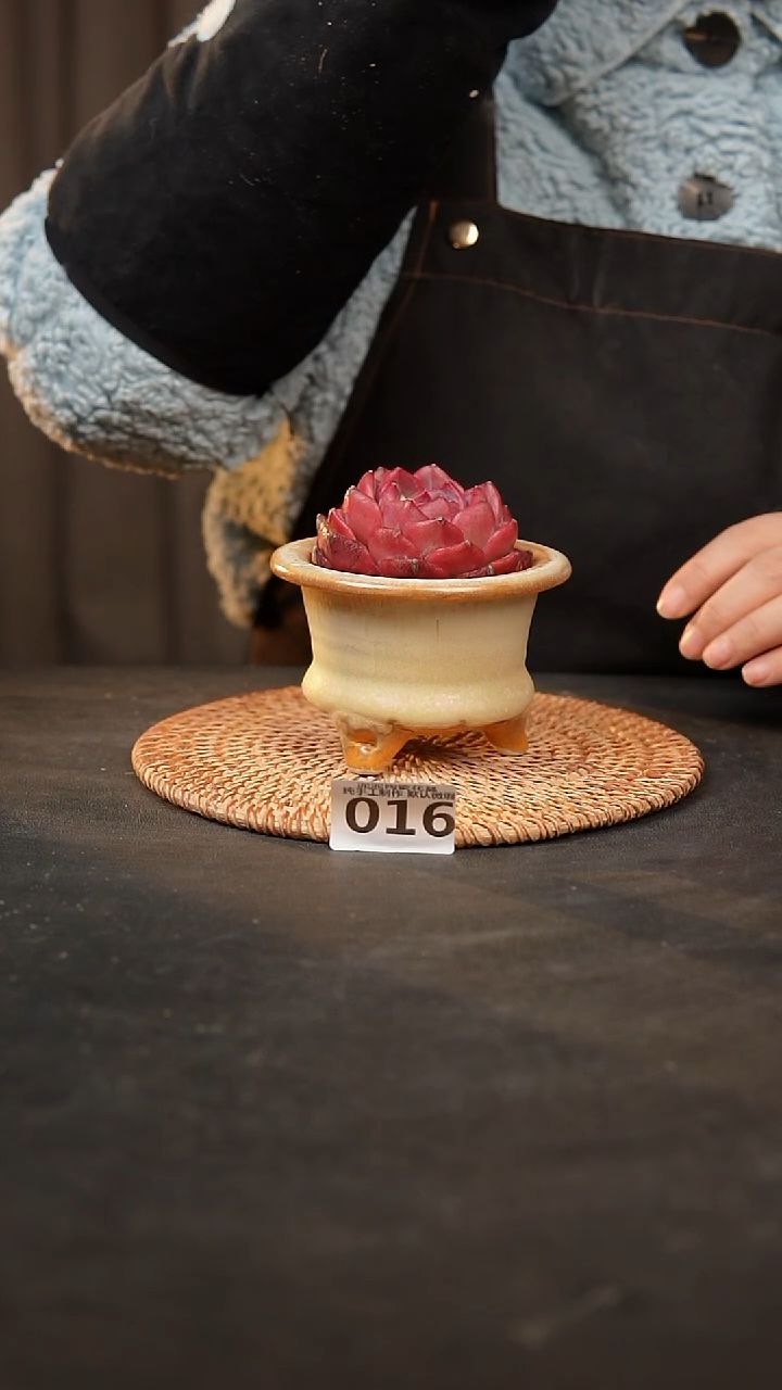 【闪购商品】瓷片016泥泥手工花盆口7-8高7-8