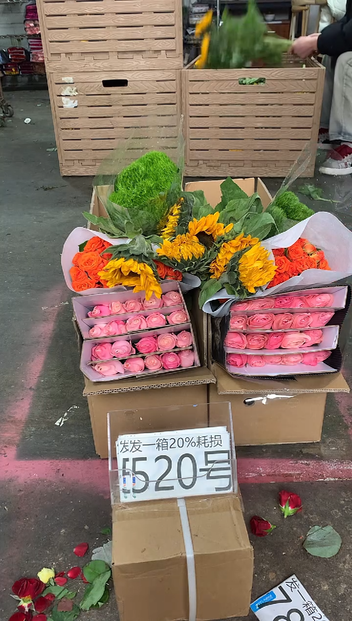 520号♥含20%耗损发一箱