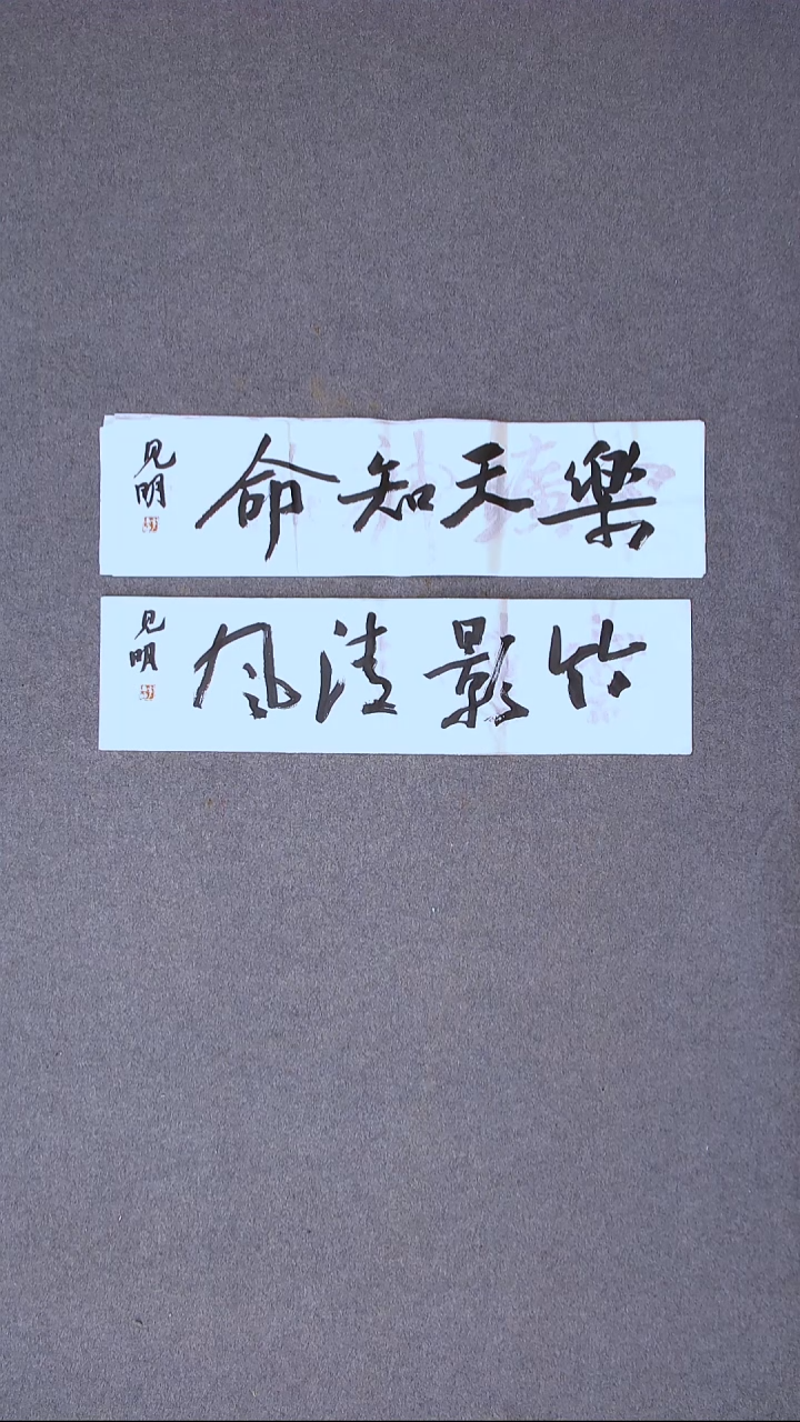 书法花建明 河北69*17*2一平尺两张四字