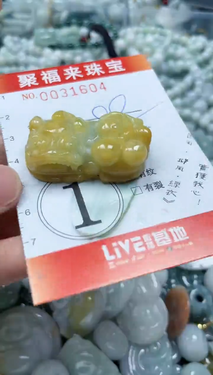 【闪购商品】翡翠颈饰未镶嵌闪购0031604