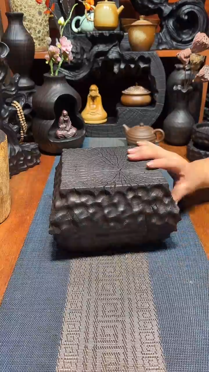 香樟木香樟木一物一拍