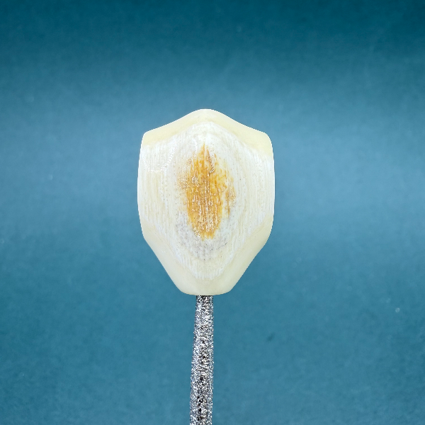 M2049天然猛犸 5A鲨鱼背三通 17.8*25.1 支持鉴定 假一罚四