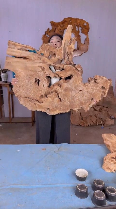 【闪购商品】香杉木木艺杉木瘤随型【原料】011