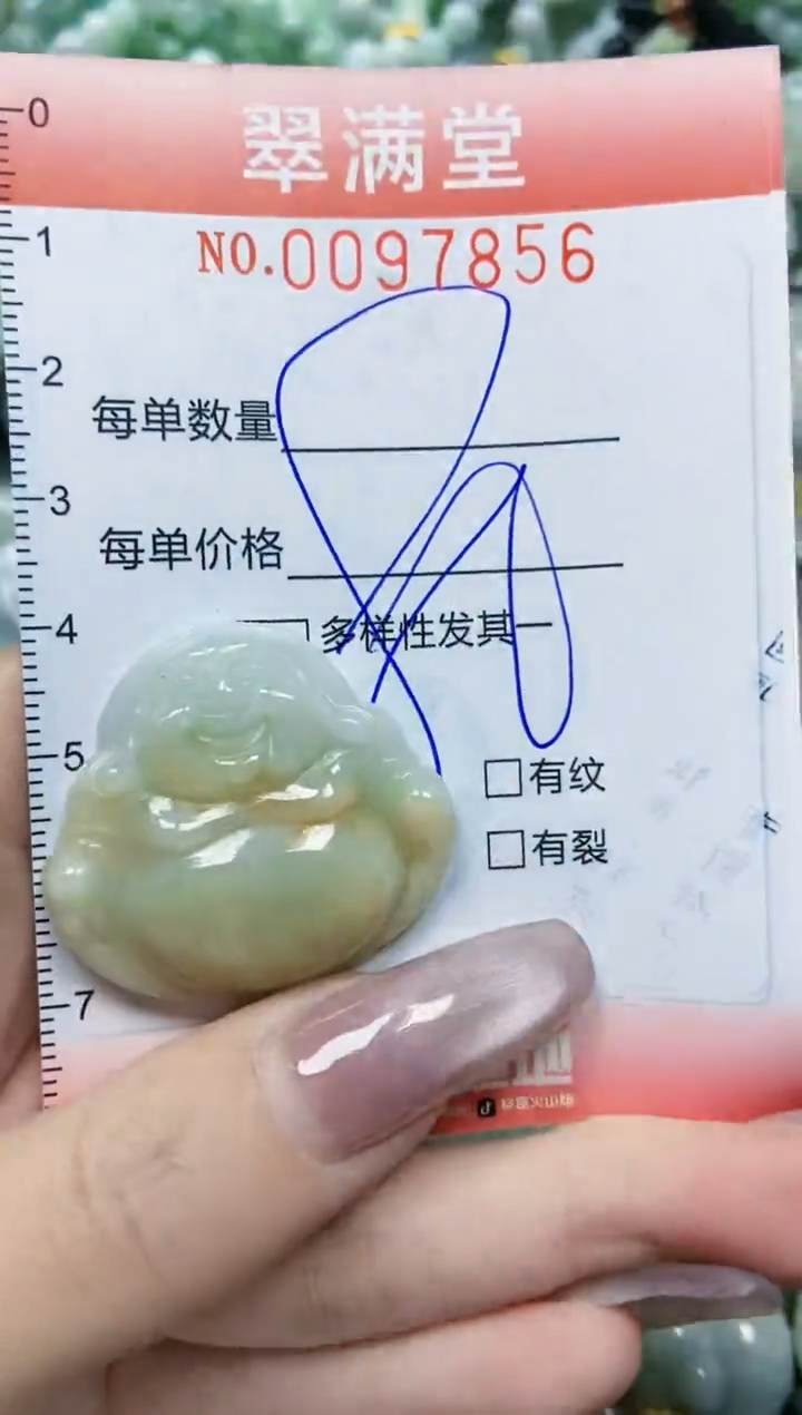 【闪购商品】翡翠颈饰未镶嵌闪购0097856