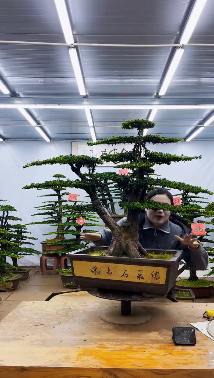 无花朵一物一拍，所见即所得