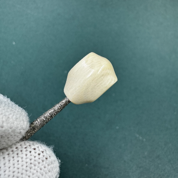 M1807天然猛犸牙 玉龙6A鲨鱼背支持鉴定假一罚四