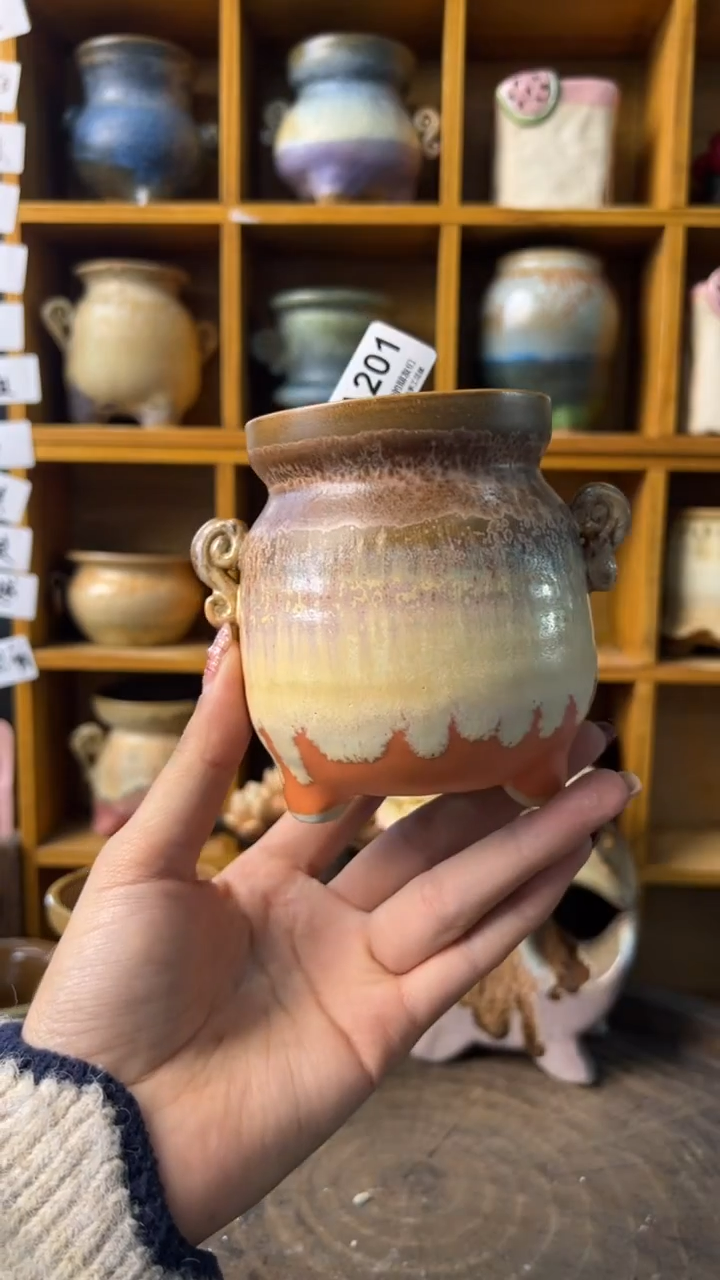 201内口6【多肉花盆多肉盆】1