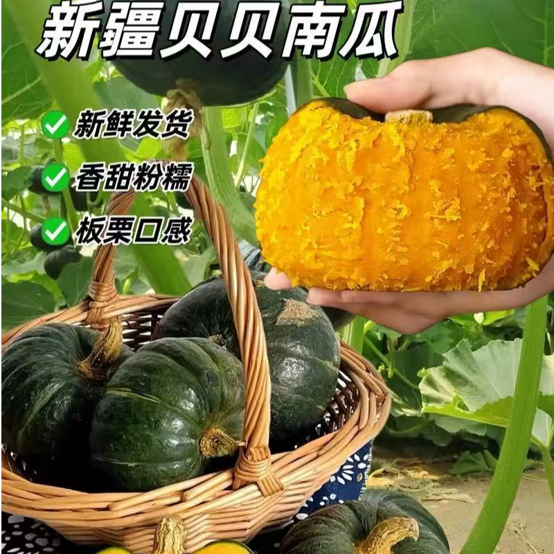 【京东到家】新疆沙漠正宗贝贝南瓜贝贝南瓜