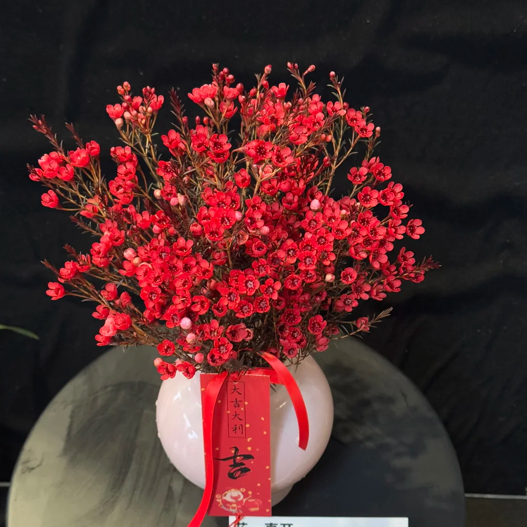 【澳洲腊梅整扎】（花材多色可选）家居鲜花家庭插花到店自提/同城配送