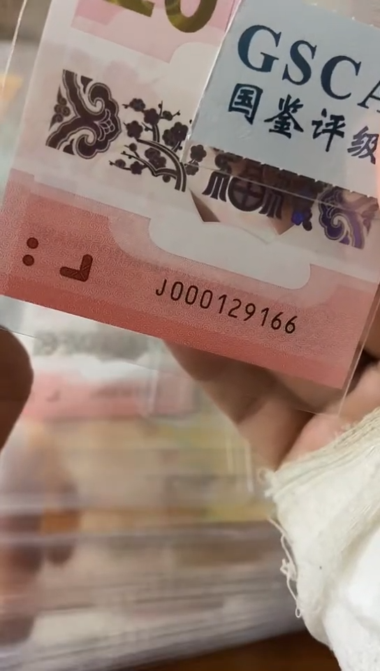 【闪购商品】小司令 000129166  