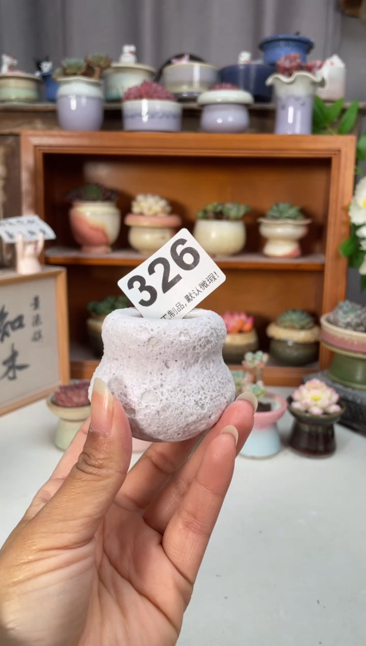 瓷片326知木小芳花盆