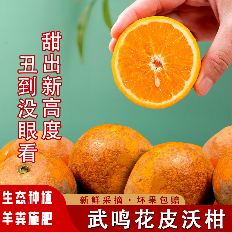 广西武鸣花皮沃柑5/9斤现摘当季水果香甜饱满皮薄汁多桔橘子产地