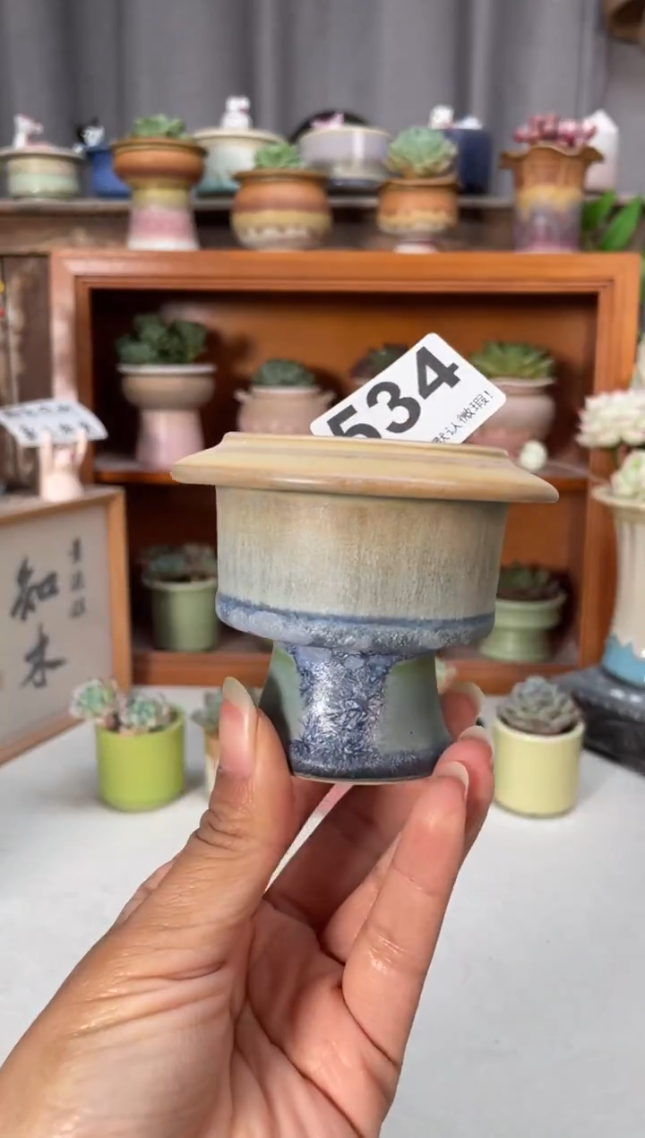 瓷片534小芳直播编号