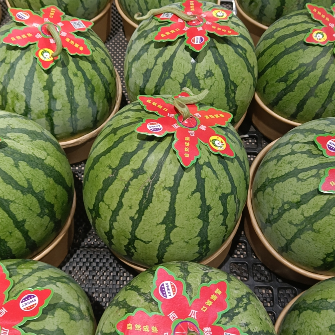 小糖豆西瓜1个（3斤左右）海南省
