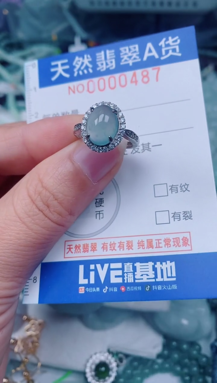 颈饰未镶嵌翡翠00000487