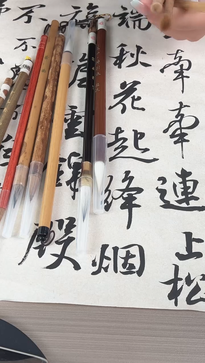 思量+思量紫竹版 纯狼豪