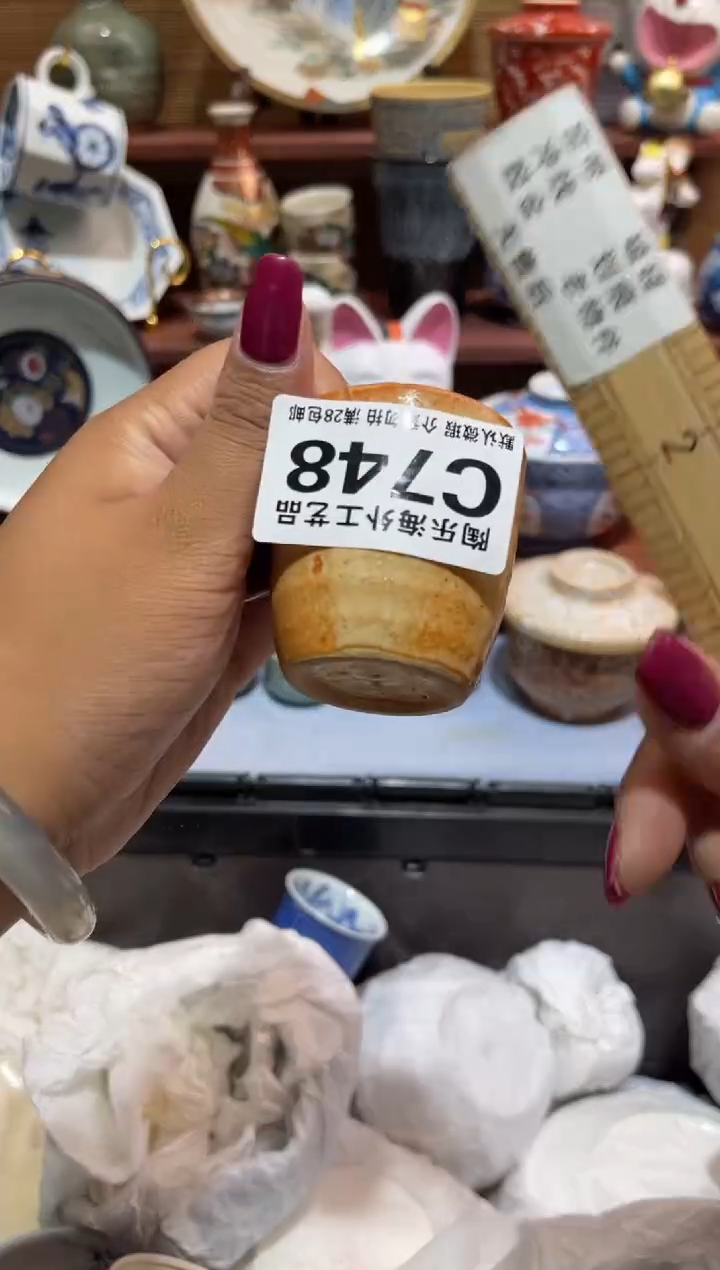 瓷片蘭*             C748