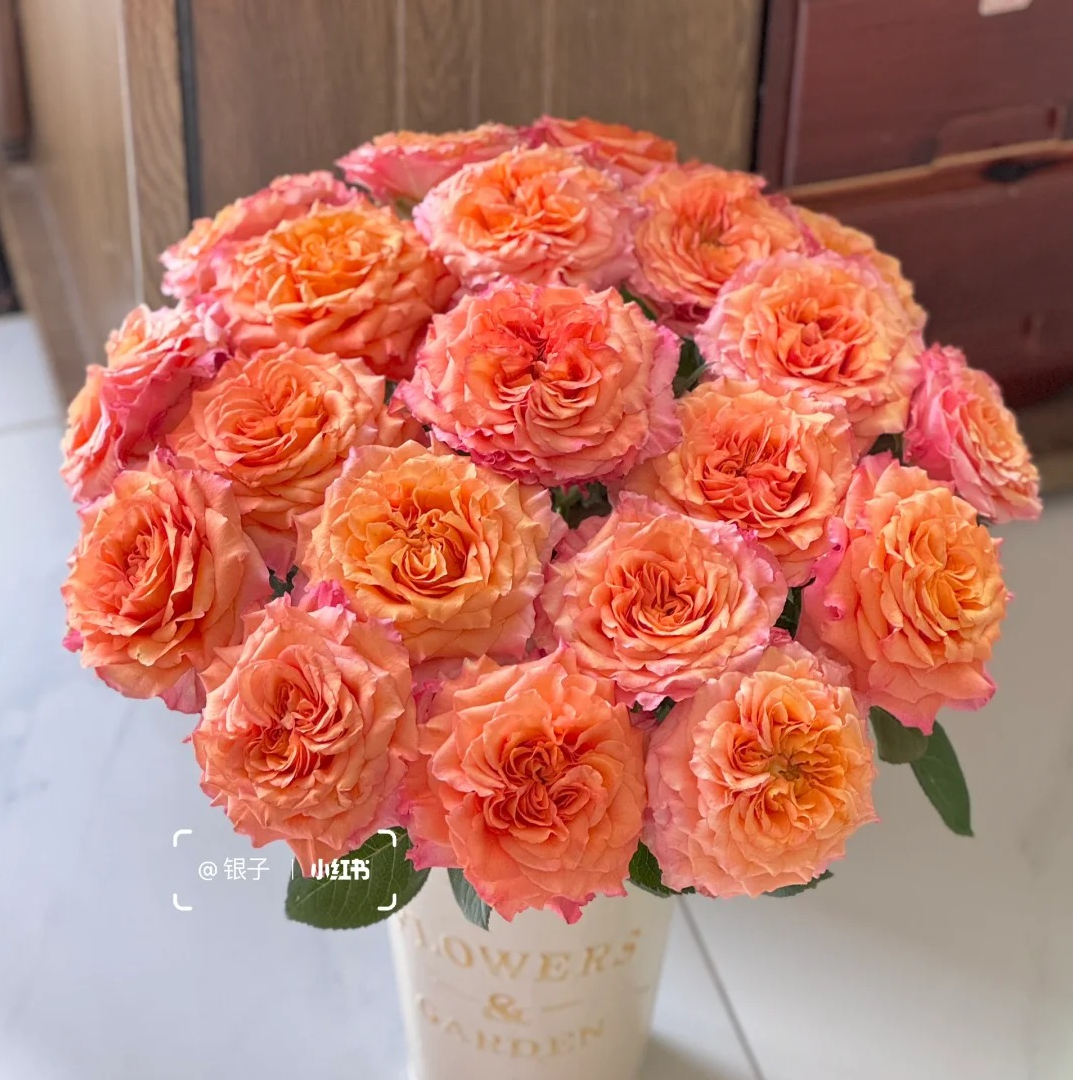 火灵鸟，单头玫瑰，1单冷链包邮，2单升级顺丰冷链，远的发德邦