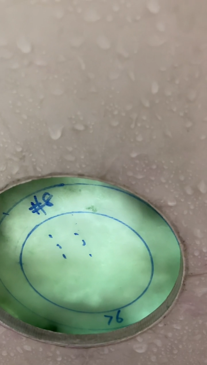 【闪购商品】定制翡翠手镯未镶嵌定制手镯CHC1/DZS