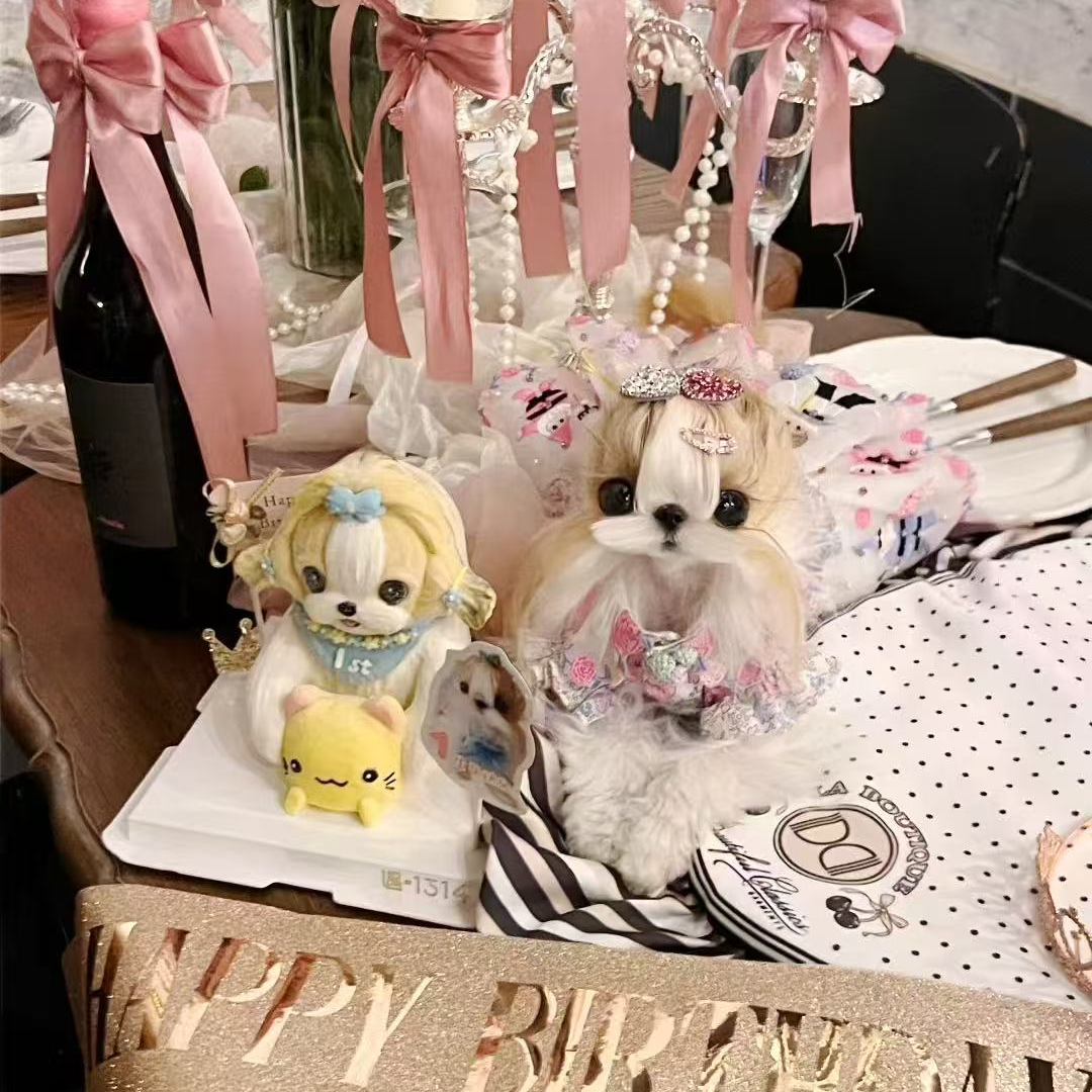 (鑫仔萌宠pet）西施约克夏马尔济斯可爱伴侣犬宠物幼体幼犬