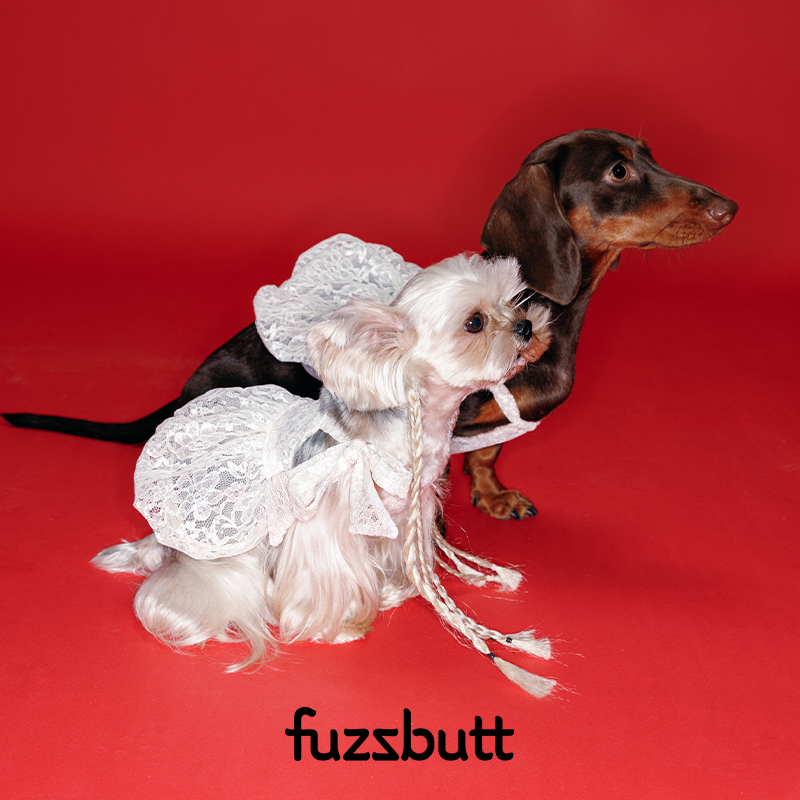 fuzzbutt宠物系带可调节蝴蝶结蕾丝小型犬花苞公主裙约克夏