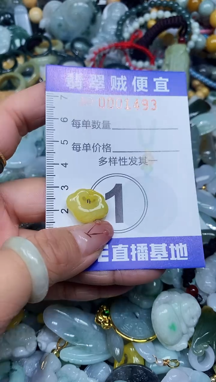 【闪购商品】翡翠颈饰未镶嵌闪购0001493