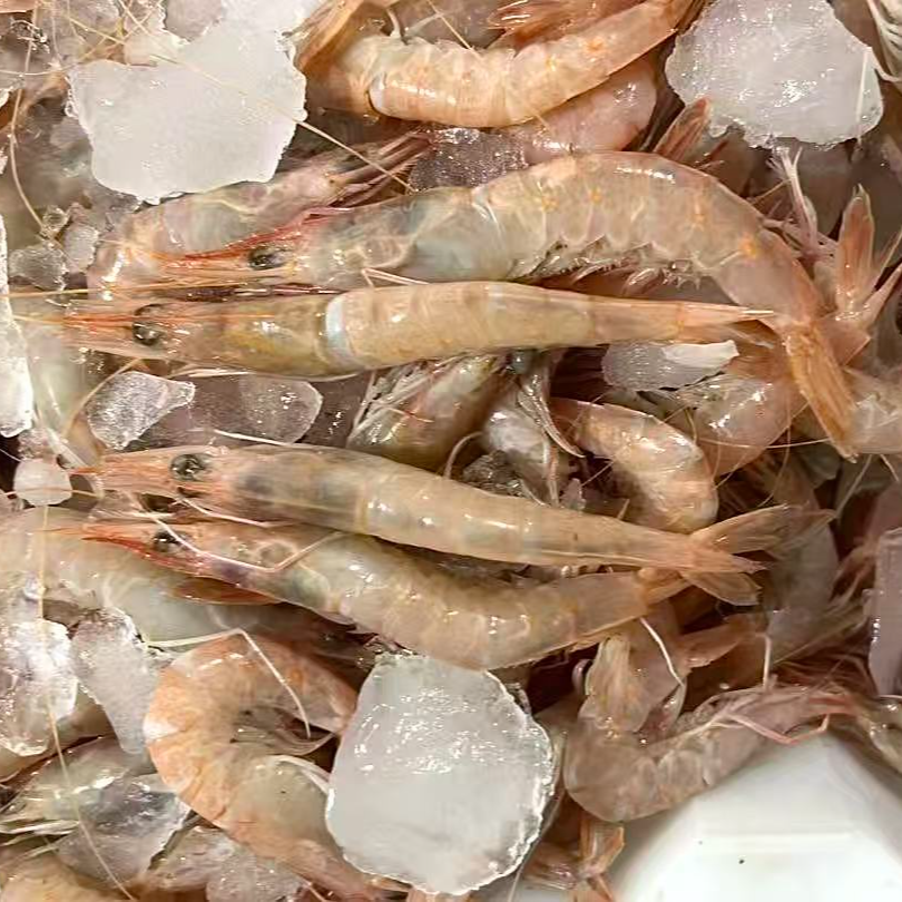 【白聪虾4斤】东海野生白聪虾顺丰包邮