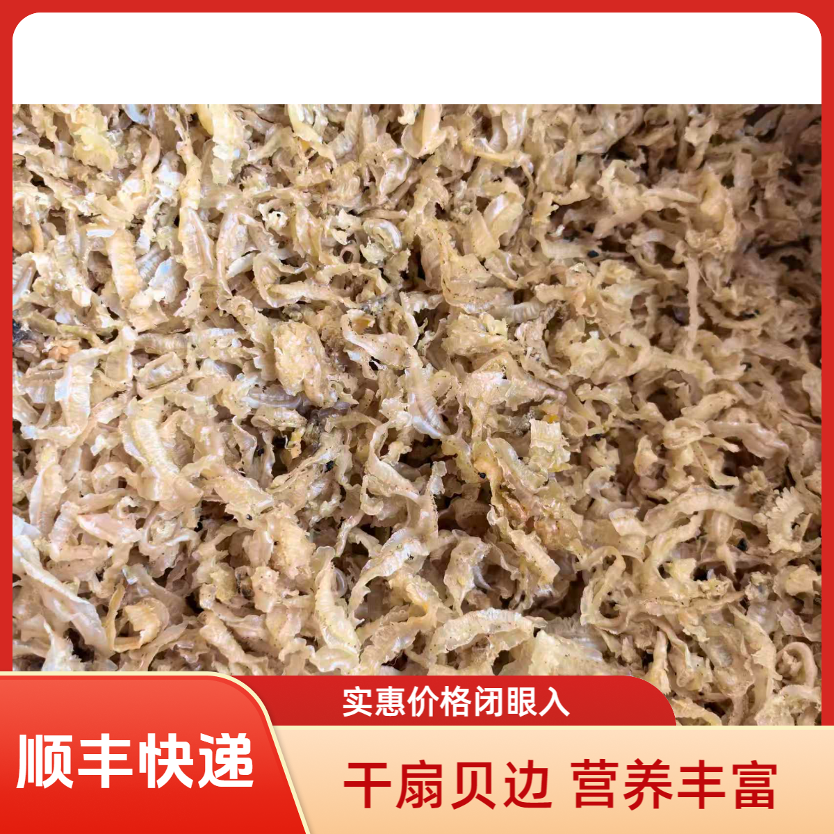 青岛当地新鲜自晒扇贝边到手两斤