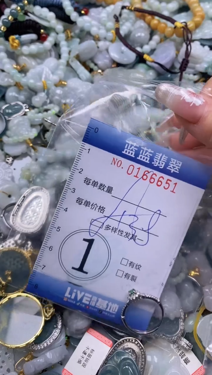 【闪购商品】翡翠颈饰未镶嵌闪购0166651多样性发其一