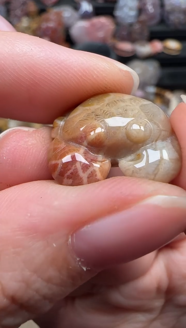 颈饰未镶嵌硅化珊瑚（珊瑚玉）301