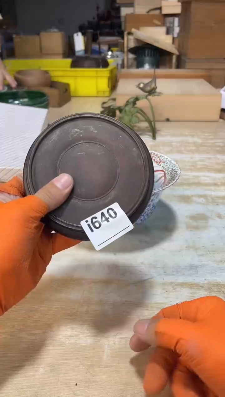 瓷片小*子直播定闪专用链接