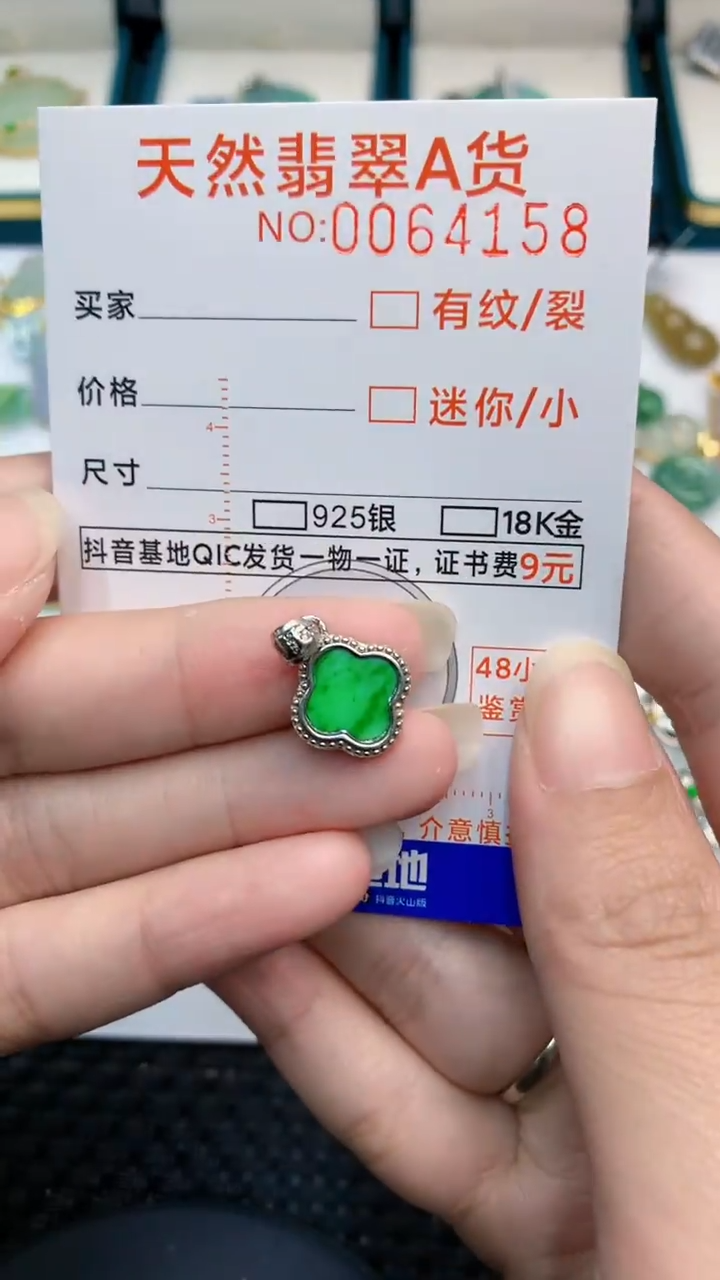 【闪购商品】翡翠颈饰银S925镶嵌            8