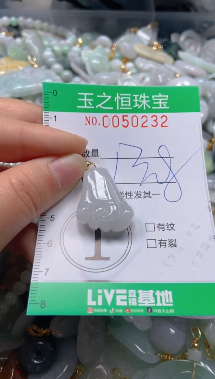 【闪购商品】翡翠颈饰未镶嵌闪购0050232